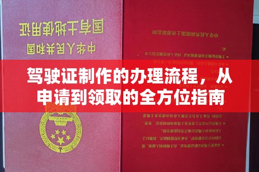 崇左驾驶证制作的办理流程，从申请到领取的全方位指南