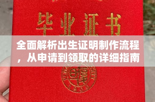 崇左全面解析出生证明制作流程，从申请到领取的详细指南