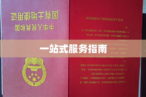 崇左一站式服务指南