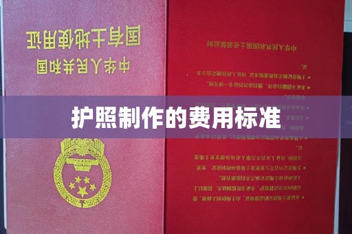 崇左护照制作的费用标准