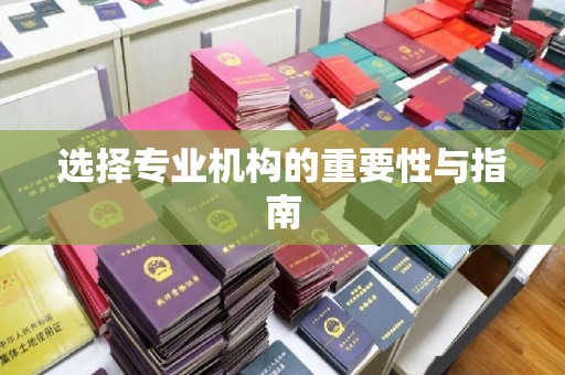 崇左选择专业机构的重要性与指南