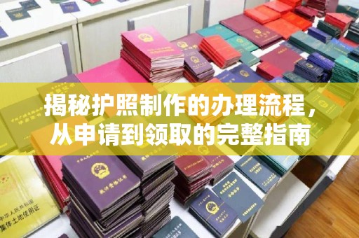 崇左揭秘护照制作的办理流程，从申请到领取的完整指南