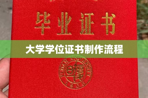 崇左大学学位证书制作流程