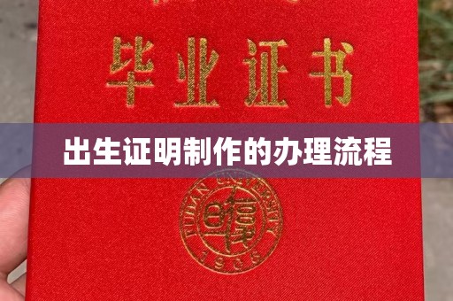 崇左出生证明制作的办理流程