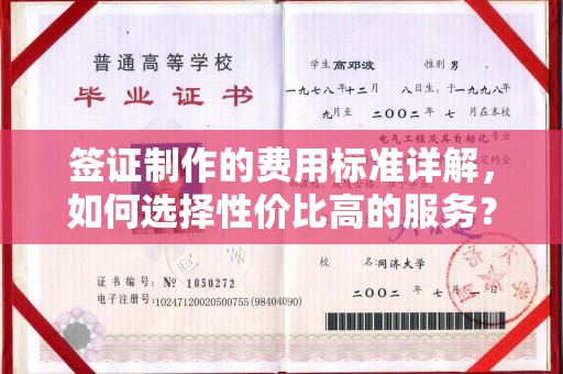 崇左签证制作的费用标准详解，如何选择性价比高的服务？