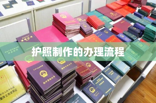 崇左护照制作的办理流程